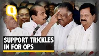 The Quint: Five More MPs Join OPS Camp as Crisis Within AIADMK Deepens
