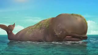 Whale Burp and Fart Edit (MOST VIEWED VIDEO!)