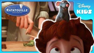 Remy's Big Journey Begins!  | Ratatouille | Disney Kids