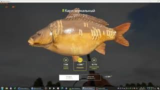 Russian Fishing 4 /Русская рыбалка 4 ▶ Озеро Янтарное