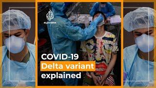 What do we know about the COVID-19 Delta variant? | Al Jazeera Newsfeed