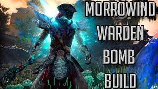 ESO Morrowind - WARDEN BOMB BUILD! (Elder Scrolls Online Morrowind MagDen Build)