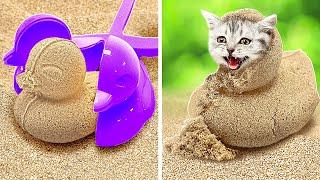 Look! We Found a Cat in the Sand! Best Pet Owner’s Hacks!