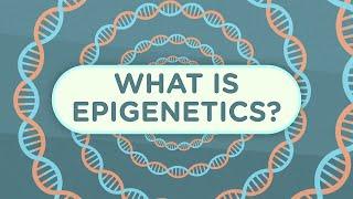 What Is Epigenetics? | Epigenetics Part 1