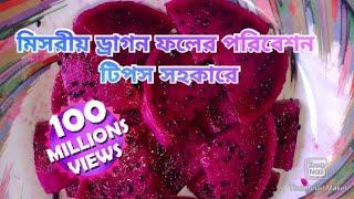 how to grow dragon fruit, dragon fruit plant, how to grow dragon fruit from cuttings, Dragon fruit