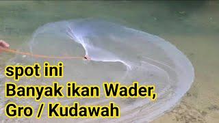 Amazing..jala ikan wader di  Sungai kecil Airnya sedikit Tapi banyak penghuninya