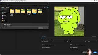 Export a PNG SEQUENCE in Premiere Pro IN 80 SECONDS