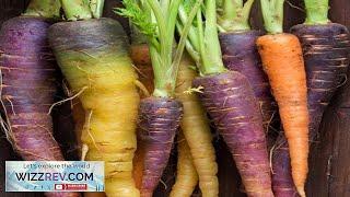 Carrot Heritage Rainbow Blend – Seeds Review