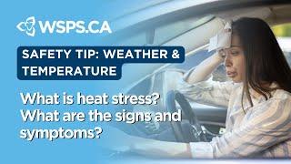 What is heat stress? What are the signs and symptoms?