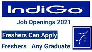 Indigo Jobs 2021 | Airlines Vacancy For Freshers and Graduates | New Job Vacancies | Indigo Airlines