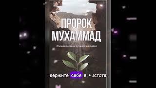 слушай что сказал пророк Мухаммад  мир ему . про женщин ️. и ты узнаешь  #shorts#tiktok