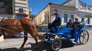 Городец Нижегородская область 2022