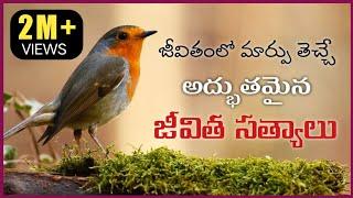 Wonderful Telugu Motivational Quotes || Nithya Satyalu || Manchi Matalu || Suktulu