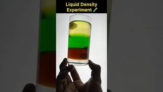 Easy Simple Science Experiments| Liquid Density Testing Experiments | #science #experiment #viral