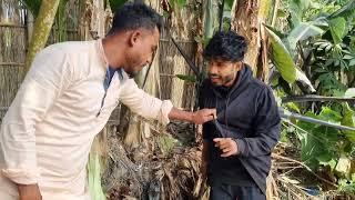 abbas ali and tofiq bangla funny video। bangla comedy video