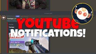 This is How You Make a Discord Bot Send YouTube Notifications For *FREE*!!