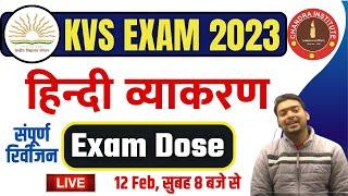 KVS PRT HINDI 2023 | महामैराथन #02 | kvs prt hindi grammer class | kvs prt hindi marathon class 2023