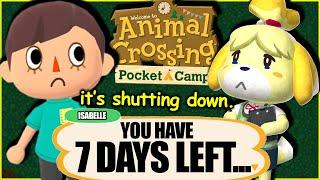 I Spent 7 Days In Animal Crossing Pocket Camp...on mobile