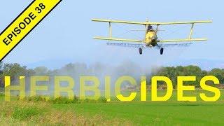 Herbicide Weed Control and the TRUTH!