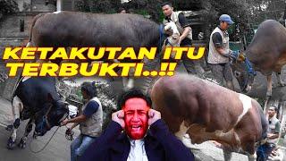 REPOOOTTTTT ‼️SIFAT ASLI SAPI - SAPI JUMBO KELUAR..‼️ SEMUA KEEPERS P4NIK 