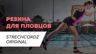 Резина для пловцов I StrechCordz Original S100