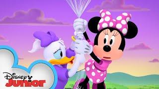 Upsy Minnie and Daisy! | Minnie's Bow-Toons   | @disneyjr