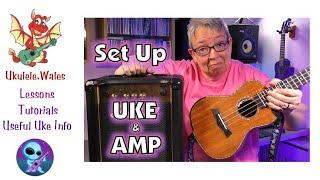 Ukulele And Amp Setup - Guide For Beginners