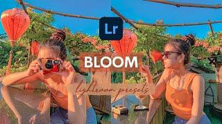 Bloom Lightroom Presets | Free Lightroom Presets Free Download | Color Pop Preset | Outdoor Preset