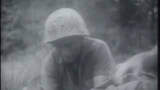 A Face of War (1968) – USMC, Vietnam War