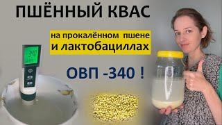 Дешевый и качественный квас на лактобактериях и пшёнке.