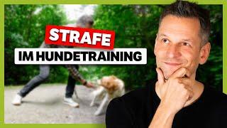 STRAFE im Hundetraining: Schaden Korrekturen oder sind sie notwendig?