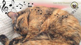Deeply Peaceful Music for Stressed Cats - 528 Hz & Cat Purring Sounds