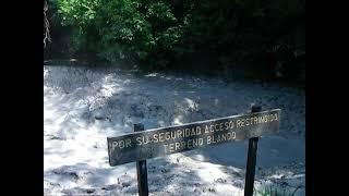 Boiling pool of mud