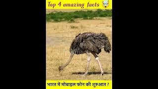 Top interesting facts | Tez Shorts| amazing facts| #shorts #backtobasics #fects#tranding #knowledge