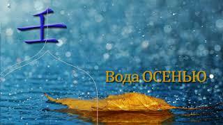 АВГУСТ - МЕСЯЦ ВОДНОЙ ОБЕЗЬЯНЫ- С ЧЕМ СТОЛКНЕМСЯ, ЧТО ПОРАДУЕТ- ЧТО БУДЕТ ВАЖНО? АСТРОЛОГИЯ БАЦЗЫ