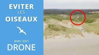 COMMENT EVITER UNE COLLISION DRONE/OISEAUX ?