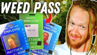 You Can't Get A Weed Job Without THIS Card | How To Get A MED Badge