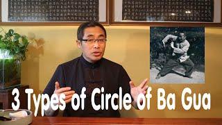 Hai Yang's Practice Proverb Series (35): 3 Types of Circle in Ba Gua