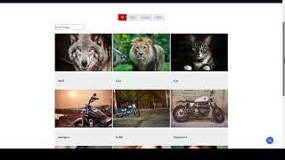 How to Change Default Filter In Portfolio Filter Gallery Premium