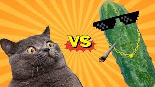 TRY NOT TO LAUGH!!! Cats vs Cucumbers Compilation Funniest Moment When Cat Scared