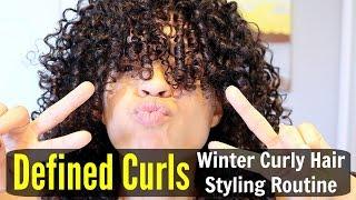 Defined Curls | Winter Wash and Go Styling Routine on Natural Hair