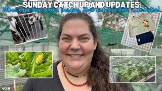 438 - Sunday'ish Chat!  Gardens, Shop, Diet, 3 weeks Ketovore reflections etc  - Off Grid Australia