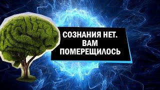 Иллюзионизм: сознания нет, вам померещилось