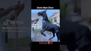 Sher Main Dehat #viral video