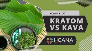 HCANA Blog: Kratom Vs Kava