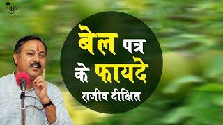 Rajiv Dixit - बेलपत्र के फायदे | Wonder health Benefits Bilva patra leaves