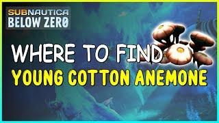 WHERE TO FIND YOUNG COTTON ANEMONE IN SUBNAUTICA BELOW ZERO