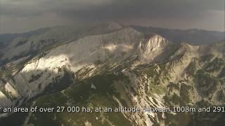 Pirin National Park