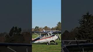 Watch These Two Planes Taxi along in Sync #cessna #champion #grass #grass strip #aviation