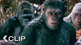 I Did Not Start This War Movie Clip - War for the Planet of the Apes (2017)